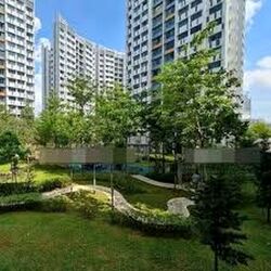 Blk 698A Jurong West Blossom (Jurong West), HDB 3 Rooms #616982251